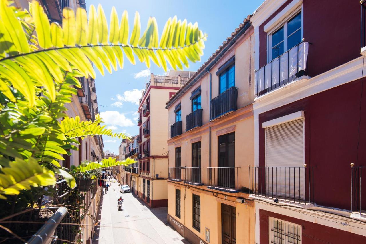 Malaga Tour Apartment- Elegance & Confort In The Historic Center Zewnętrze zdjęcie